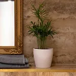 Stylisches Studio Mit Galerie-Schlafplatz